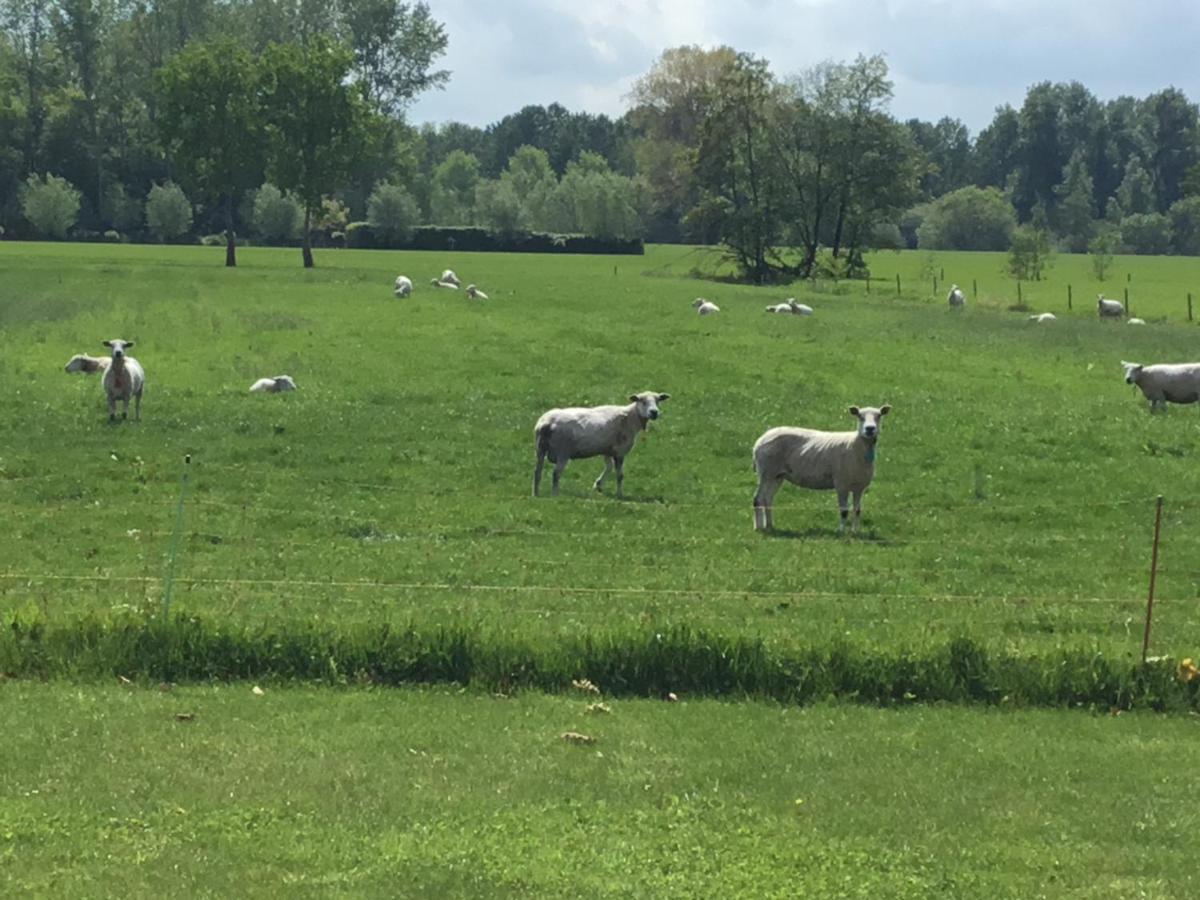Sint-Oedenrode De Weije Wereld Bed & Breakfast エクステリア 写真