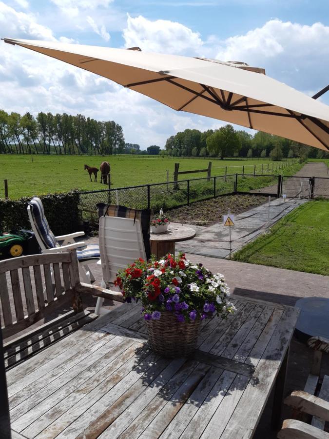 Sint-Oedenrode De Weije Wereld Bed & Breakfast エクステリア 写真