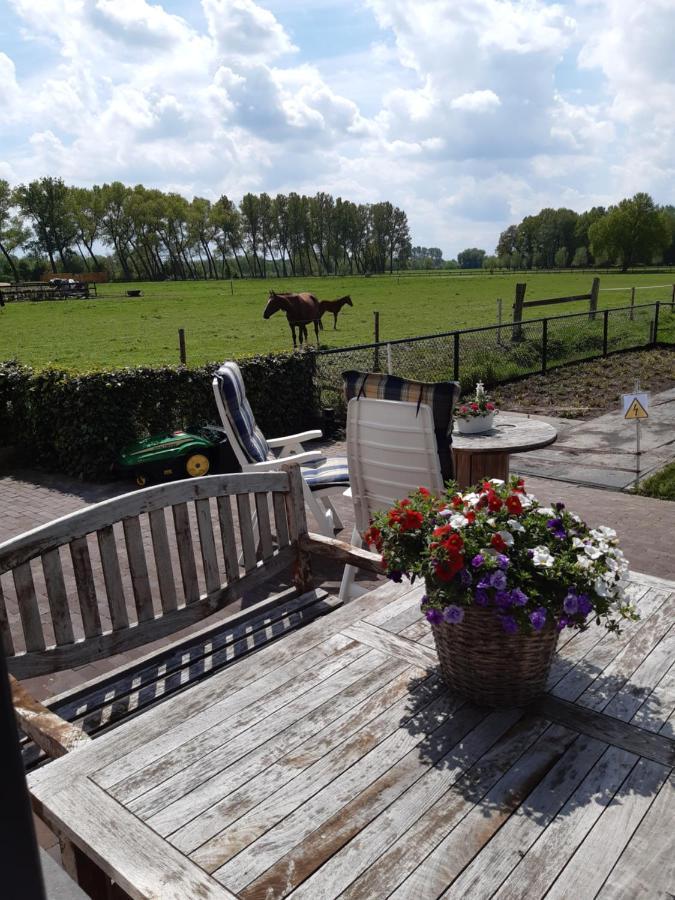 Sint-Oedenrode De Weije Wereld Bed & Breakfast エクステリア 写真